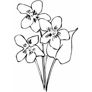 Three Flowers And One Leaf Coloring Sheet 