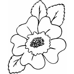 Beautiful Flower Coloring Sheet 