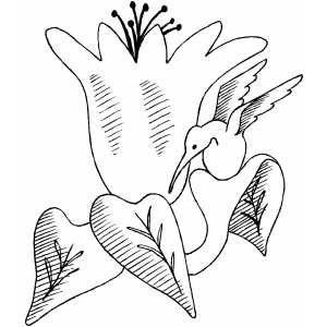 Flower And Bird Coloring Sheet 