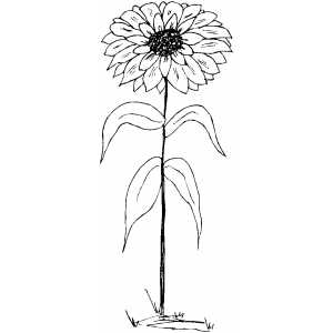 Flower In The Ground Coloring Sheet 