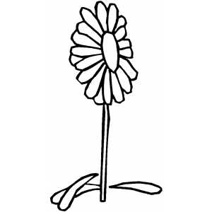 Flower Without Leaves Coloring Sheet 