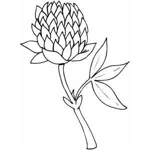Flowers20 Coloring Sheet 