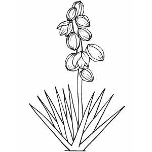 Flowers22 Coloring Sheet 