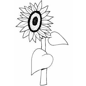 Flowers30 Coloring Sheet 