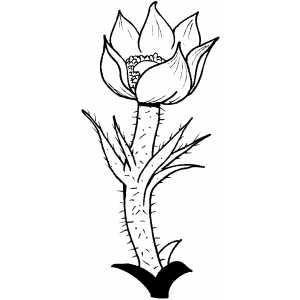 Flowers35 Coloring Sheet 