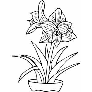 Flowers In Pot Coloring Sheet 