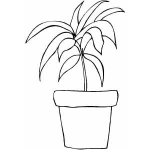 Plant With Long Leaves Coloring Sheet 