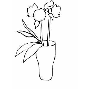 Two Flowers In Vase Coloring Sheet 