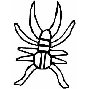 Spider Bug Coloring Sheet 