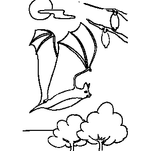 Bats Coloring Sheet 