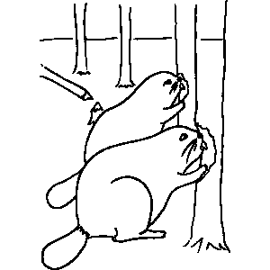 Beaver Coloring Sheet 