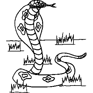 Cobra Coloring Sheet 
