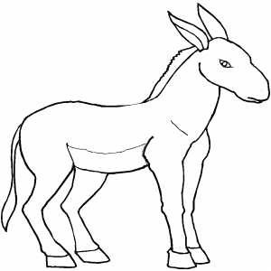 Donkey Coloring Sheet 