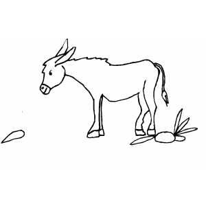 Donkey Walking To Carrot Coloring Sheet 