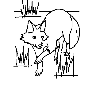 Fox Coloring Sheet 