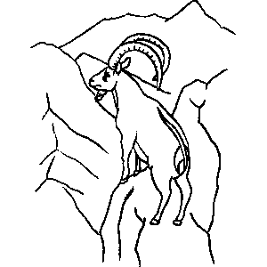 Goat with Horns Coloring Sheet 