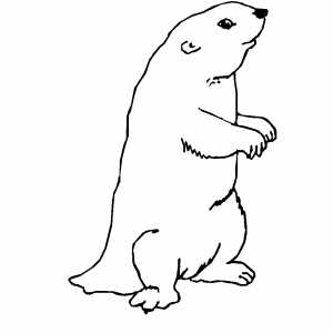 Gopher Coloring Sheet 