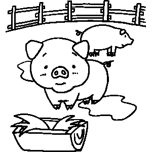 Pigs Coloring Sheet 