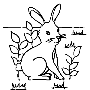 Rabbit Coloring Sheet 