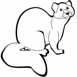 Sable Coloring Sheet 