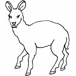 Scared Deer Coloring Sheet 