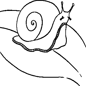 Snail Coloring Sheet 