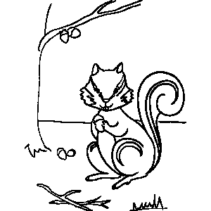 Squirrel Coloring Sheet 