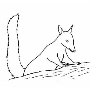 Standing Bandicoot Coloring Sheet 