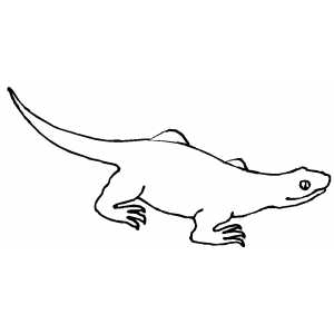 Walking Lizard Coloring Sheet 