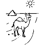 Camel