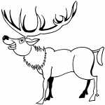 Deer With Big Horns