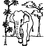 Elephant