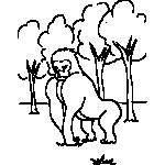 Gorilla