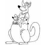 Happy Kangaroo And Baby