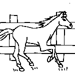 Horse Galloping
