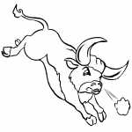 Running Angry Bull