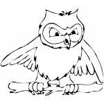 Angry Owl