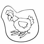 Cock