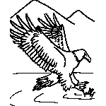 Eagle