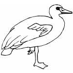 Goose On One Leg