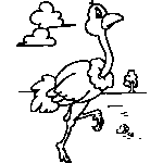 Ostrich