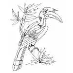 Parrot on Tree