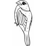 Sparrow