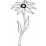 Flowers28