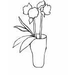 Two Flowers In Vase