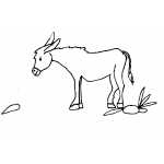 Donkey Walking To Carrot