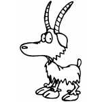 Mountain Goat Kid