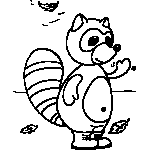 Raccoon
