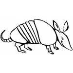Smiling Armadillo