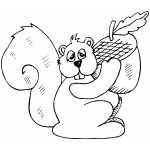 Squirrel With Acorn